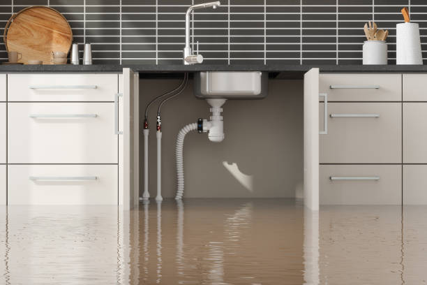  Perry Park, CO Water damage restoration Pros
