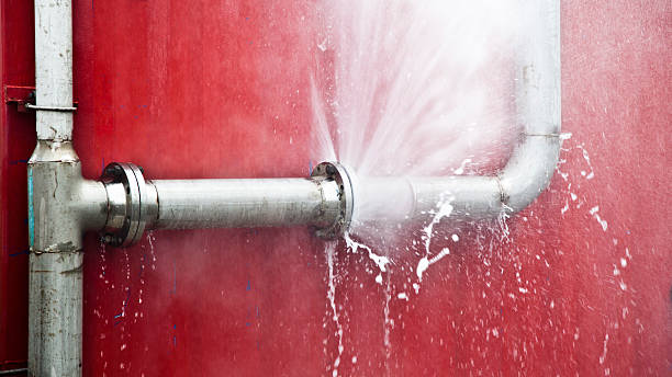 Best Basement water damage restoration  in Perry Park, CO
